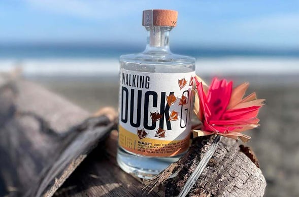 Gin Brennkurs mit 5-Gänge-Menü Guldental