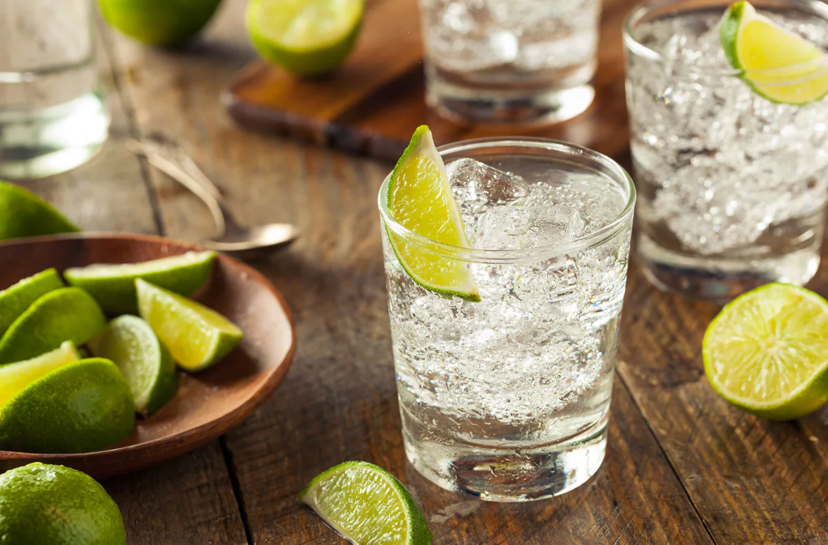 Gin Seminar Hamburg (für Einsteiger) - 2