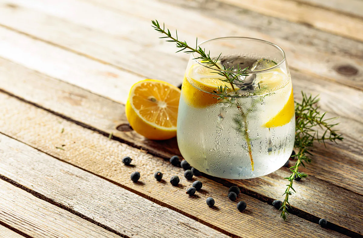 Gin Tasting Hamburg für 2 - 4