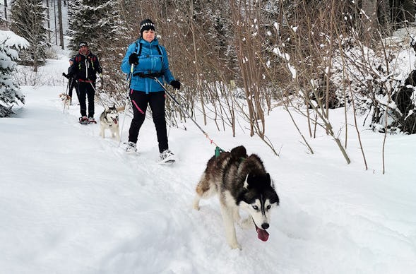 Husky Schneeschuhtrekking Postalm für 2