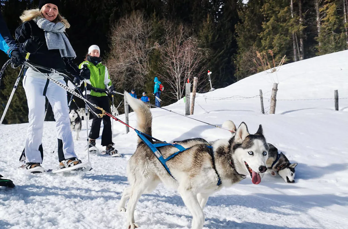 Husky Schneeschuhtrekking Postalm für 2 - 2