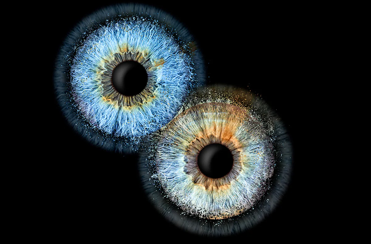 Iris Fotografie Fusion für 2 Haßfurt - 2