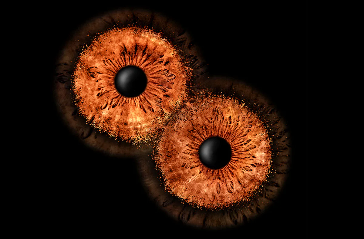 Iris Fotografie Fusion für 2 Haßfurt - 1
