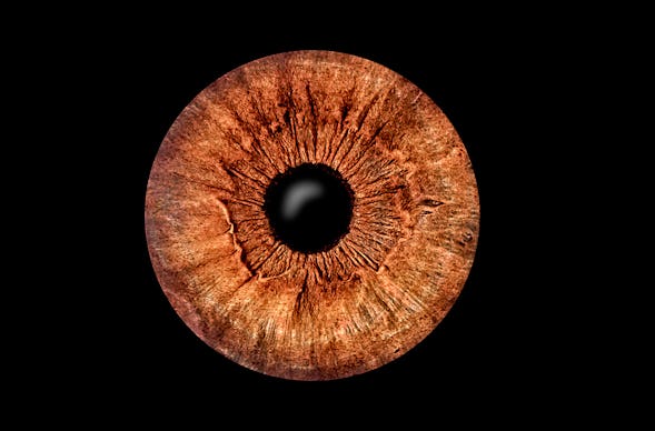 Iris Fotografie Haßfurt