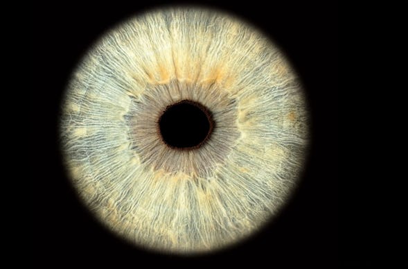 Iris Fotoshooting Luzern