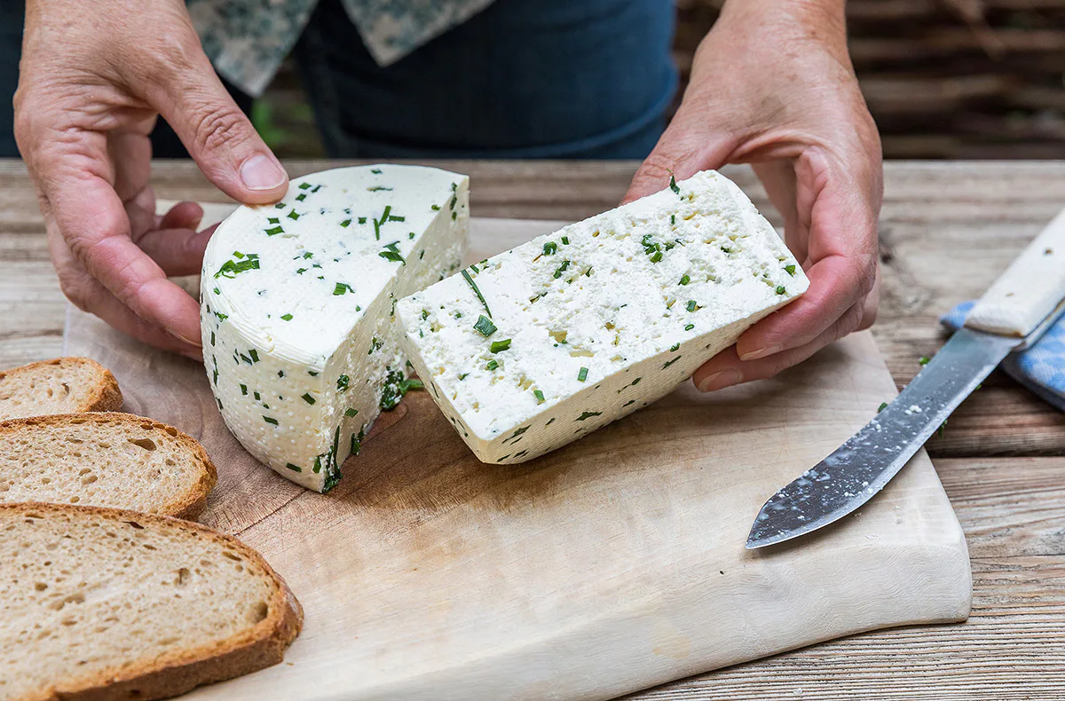 Käse selber machen Buch a. Erlbach - 2