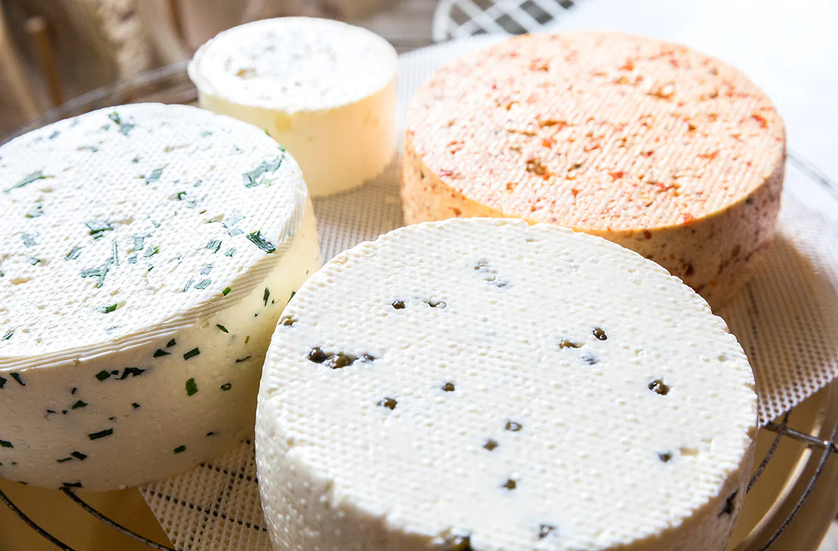Käse selber machen Buch a. Erlbach - 3