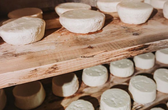 Käse selber machen Oberharmersbach