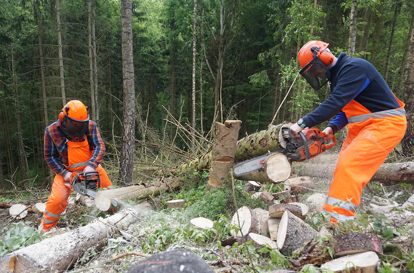Kettensägenkurs Oderberg