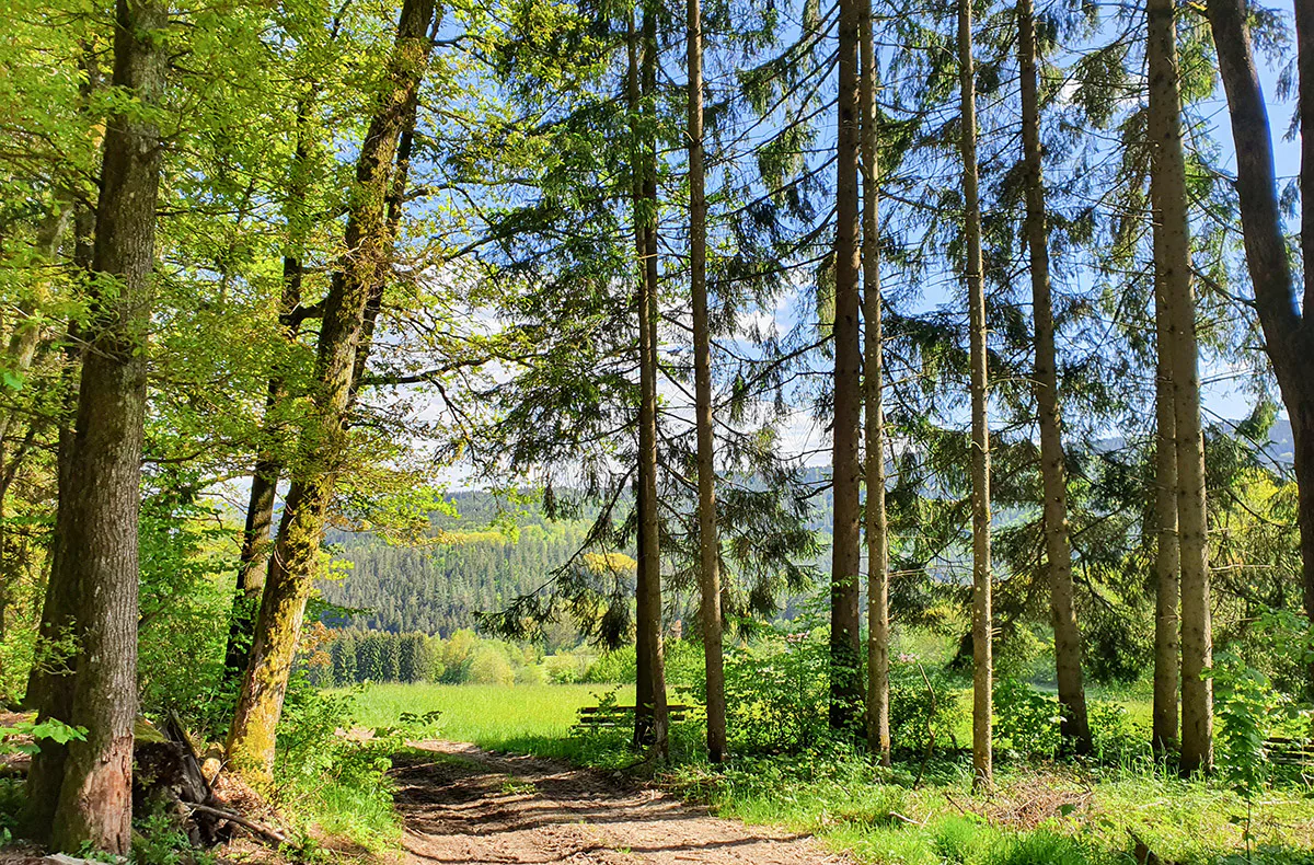 Kurzurlaub im Bayerischen Wald für 2 (2 Nächte) - 7