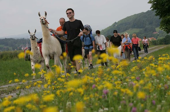 Lama Trekking Poppenhausen für 2