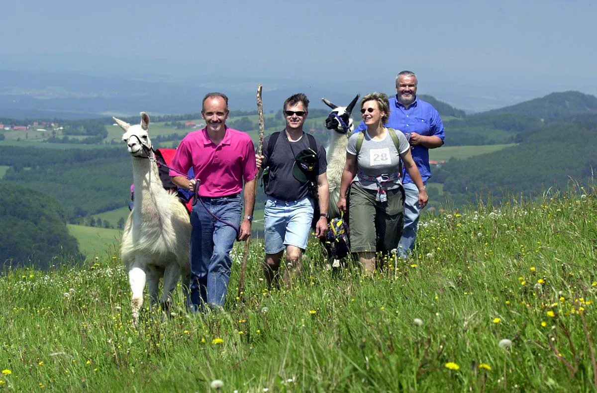 Lama Trekking Poppenhausen für 2 - 4