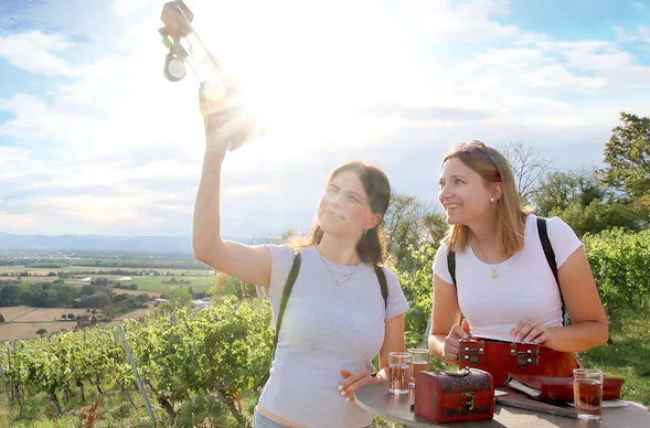Outdoor Escape Gruppe - Anfänger "In Vino Veritas" Konz