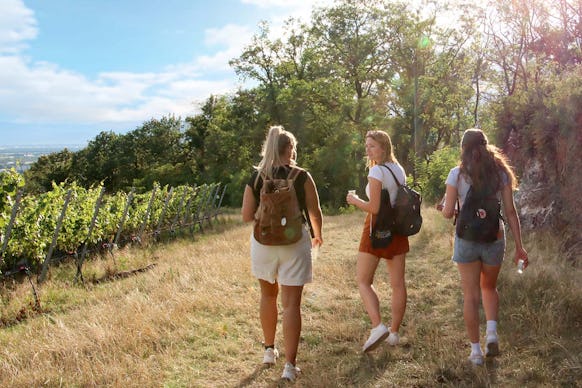 Outdoor Escape Anfänger "In Vino Veritas" Heilbronn