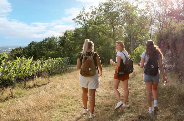 Outdoor Escape Gruppe - Anfänger "In Vino Veritas" Meersburg