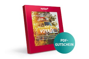 Bon Voyage PDF