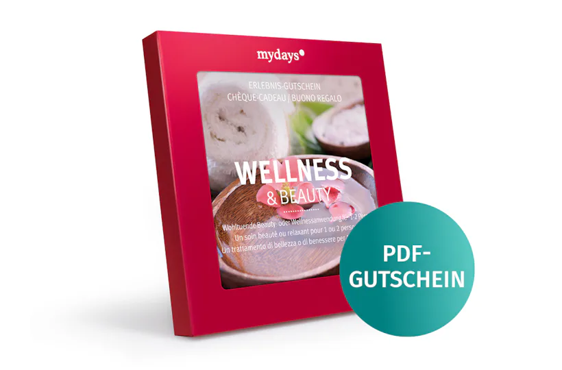 Wellness & Beauty PDF
