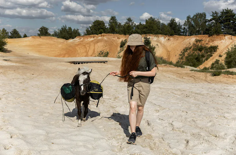 Pony Spaziergang Barth