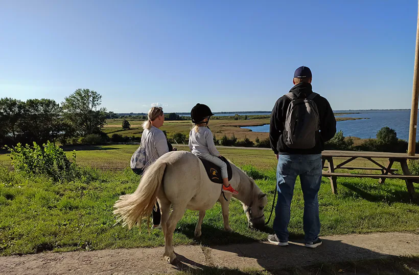 Pony Spaziergang Kuhlen-Wendorf