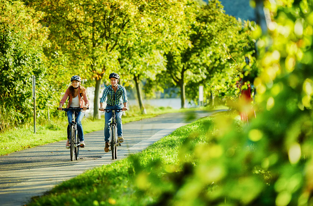 Radtour mit Schifffahrt auf der Mosel und Picknick - 3