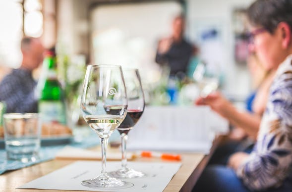 Rebsortenkurs mit Degustation Würzburg