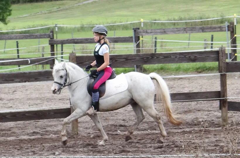 Reiten Schnupperkurs Diebach
