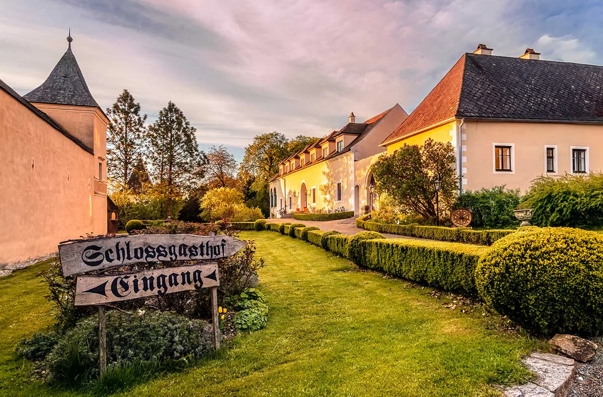 Rittermahl im Schloss Rosenburg mit Metverkostung - 3