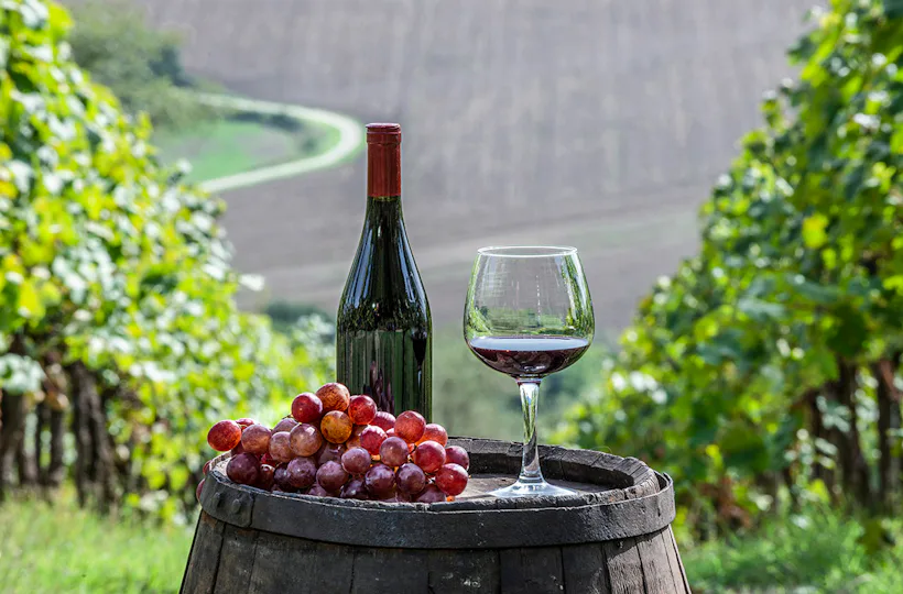 Rotweinwanderung Schriesheim