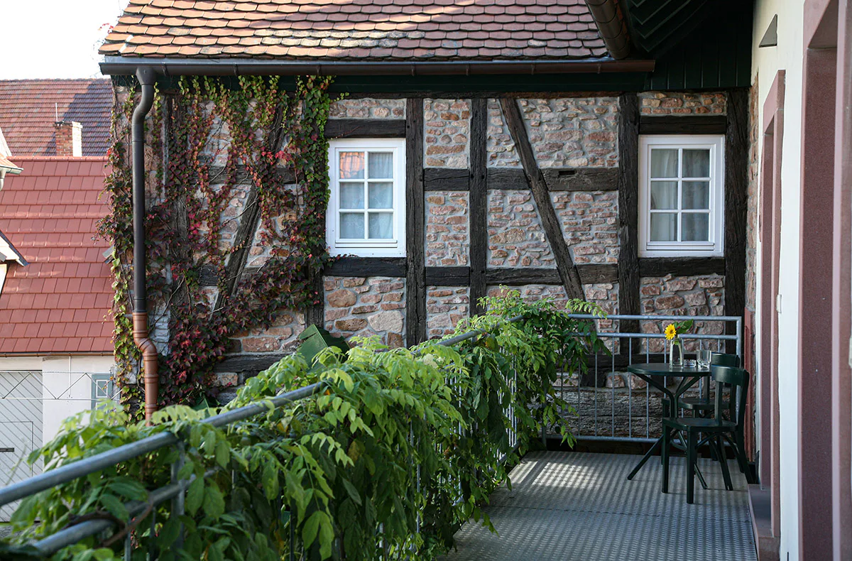 Saucen Kochkurs Weisenheim am Berg - 6