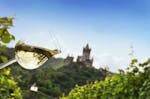 Weinausflug und Schifffahrt auf der Mosel Cochem