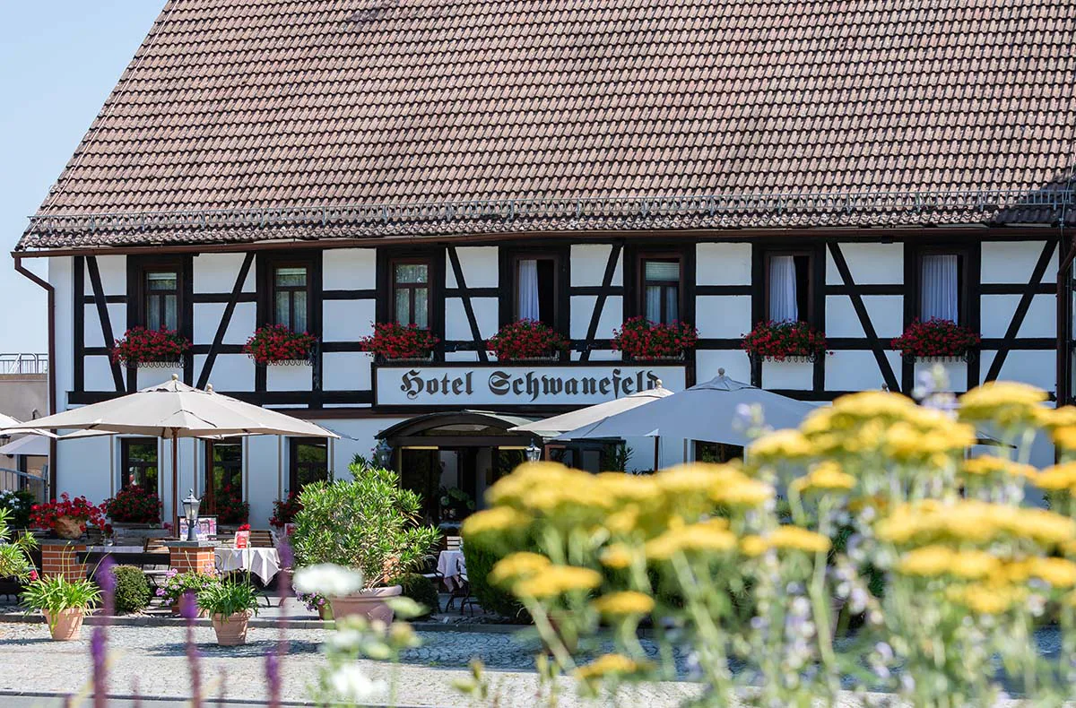 Romantik Schokoladen-Dinner für 2 in Sachsen - 2