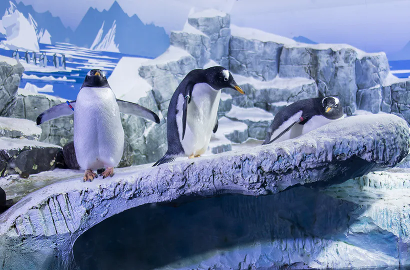 Sea Life Konstanz