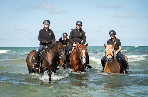 Strandritt Ostsee mit Probestunde Hirschburg (Okt. - Apr.)