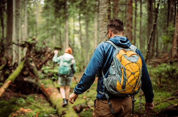 Survival Kurs Waldenbuch (9 Std.)