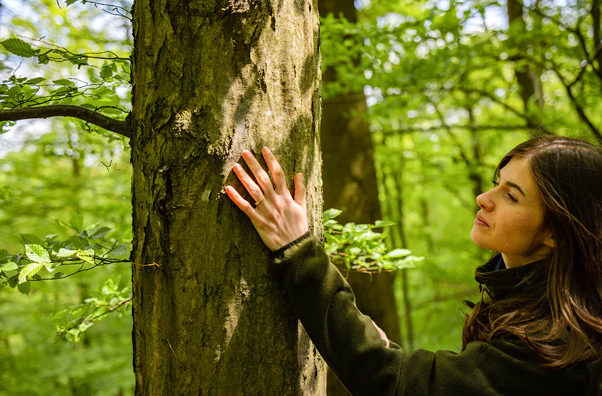 Waldbaden Wershofen - 3