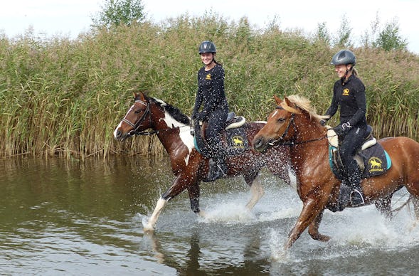 Strandwanderritt Hirschburg