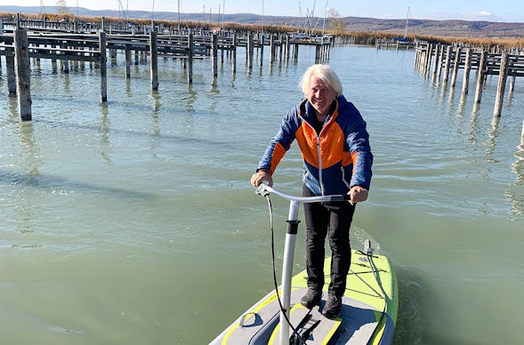 Wasserstepper am Neusiedler See