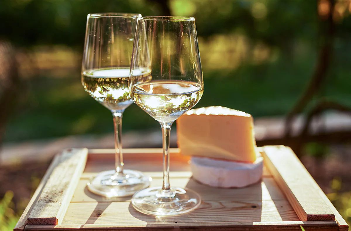 Wein & Käse Seminar Schriesheim - 1
