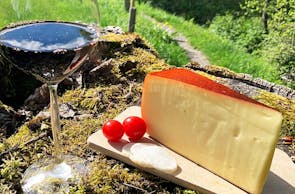 Wein und Käse Tasting Osthofen