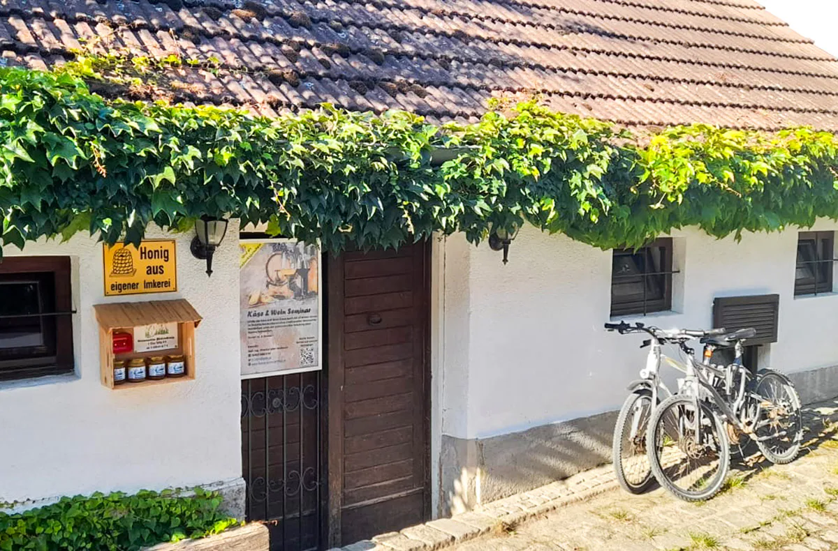 Käse & Wein Seminar Raum Wien - 4
