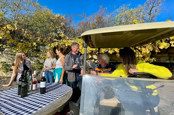 Weinbergrundfahrt Jois für 2