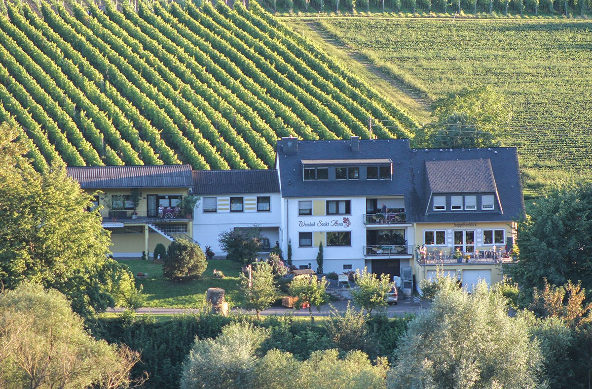 Weinreise an die Mosel für 2 (2 Nächte)