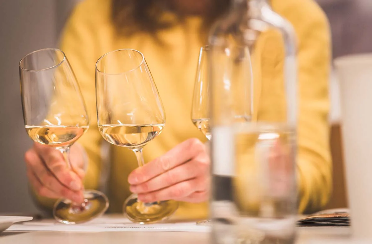 Weinseminar für Einsteiger München - 1