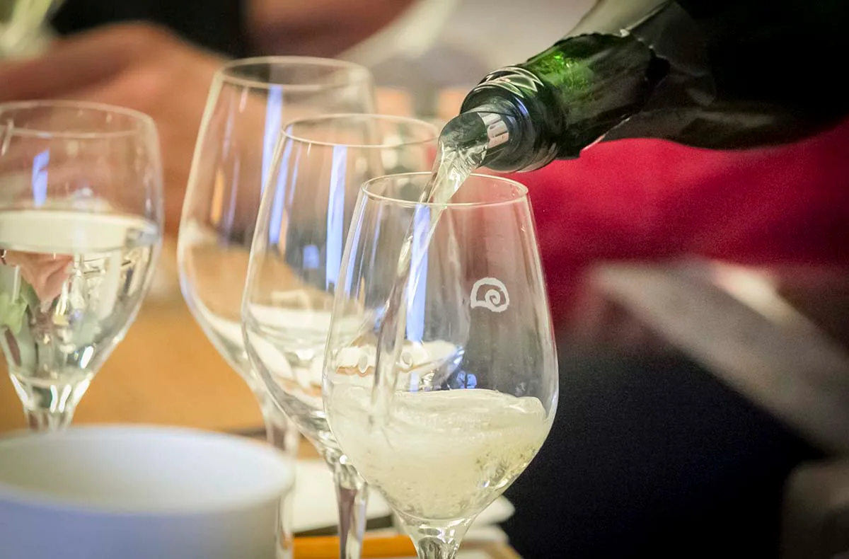 Weinseminar Einsteiger für 2 Olten - 3