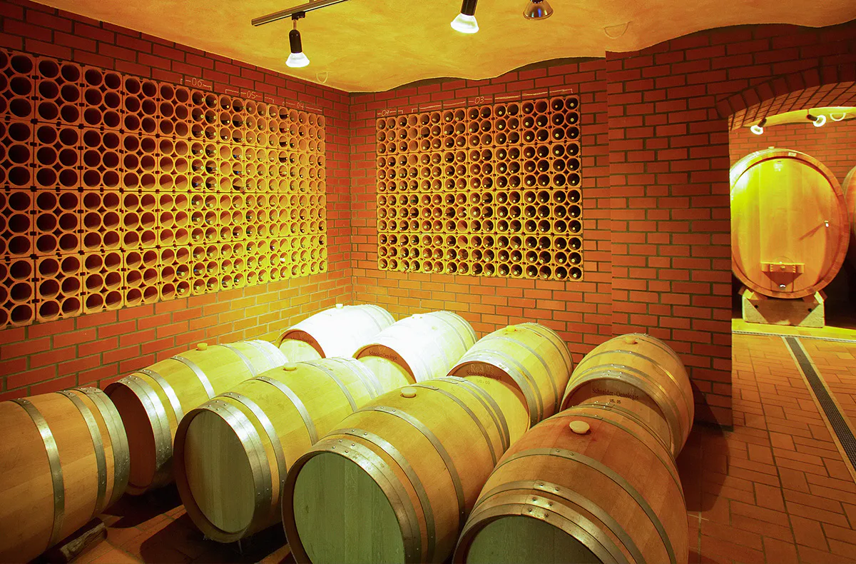 Weinseminar Volxheim - 2