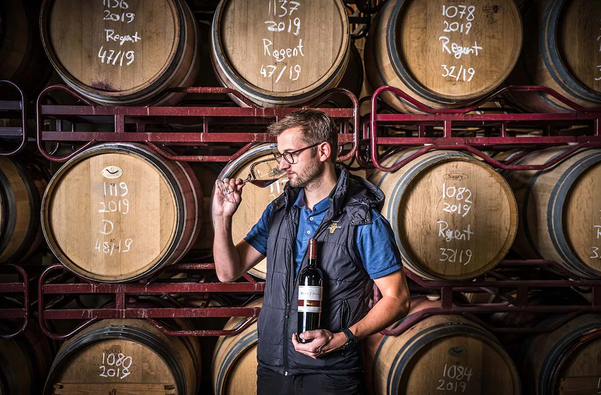 Weintour mit Weinverkostung Sankt Aldegund - 1
